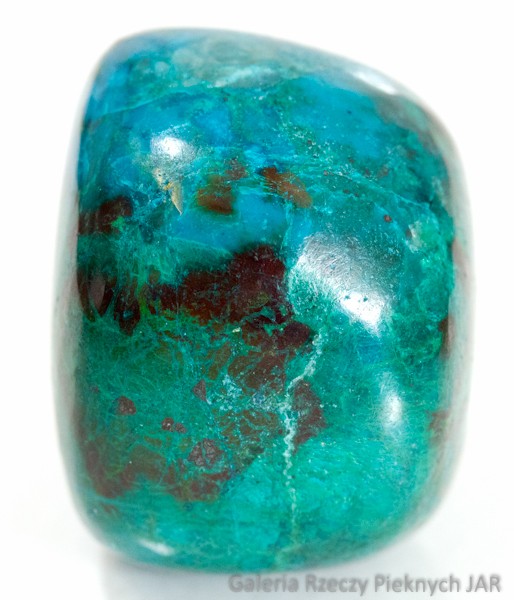 CHRYZOKOLA CHILE MCK4