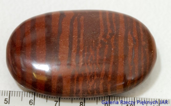 MYDEŁKO JASPIS ZEBRA AUSTRALIA MJA24