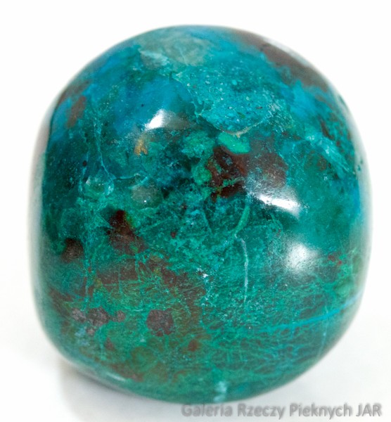 CHRYZOKOLA CHILE MCK4