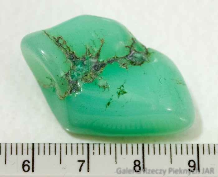 CHRYZOPRAZ PRAZER BRAZYLIA MCP1