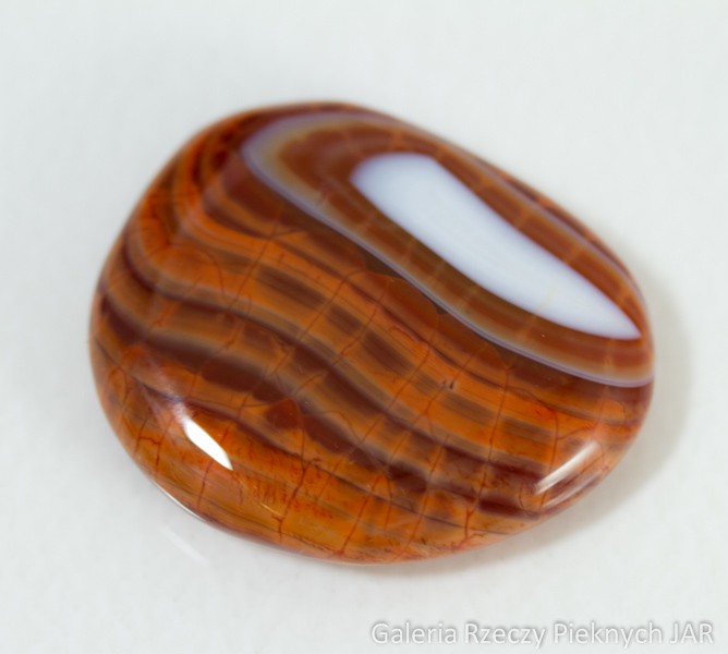 AGAT OGNISTY BRAZYLIA SNAKE SKIN MAG3