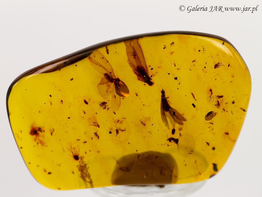 BURSZTYN AMBER INKLUZJE MIN114