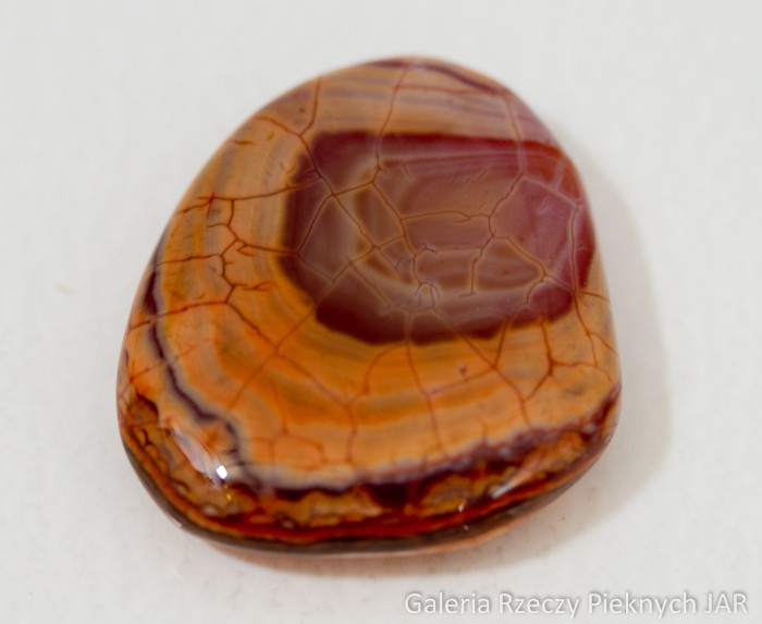 AGAT OGNISTY BRAZYLIA SNAKE SKIN MAG27