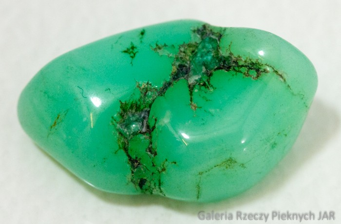 CHRYZOPRAZ PRAZER BRAZYLIA MCP1