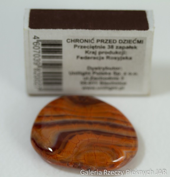 AGAT OGNISTY BRAZYLIA SNAKE SKIN MAG3