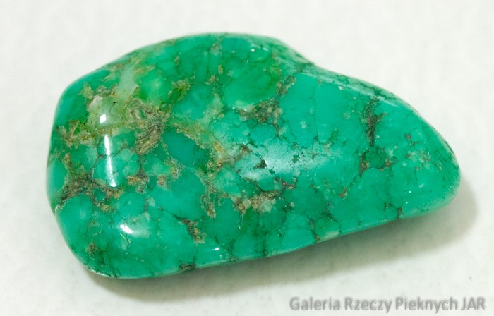 CHRYZOPRAZ PRAZER BRAZYLIA MCP6