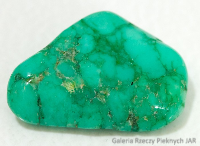 CHRYZOPRAZ PRAZER BRAZYLIA MCP6