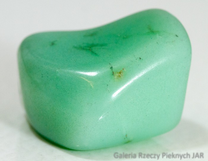 CHRYZOPRAZ PRAZER BRAZYLIA MCP4
