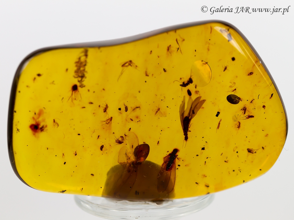 BURSZTYN AMBER INKLUZJE MIN114