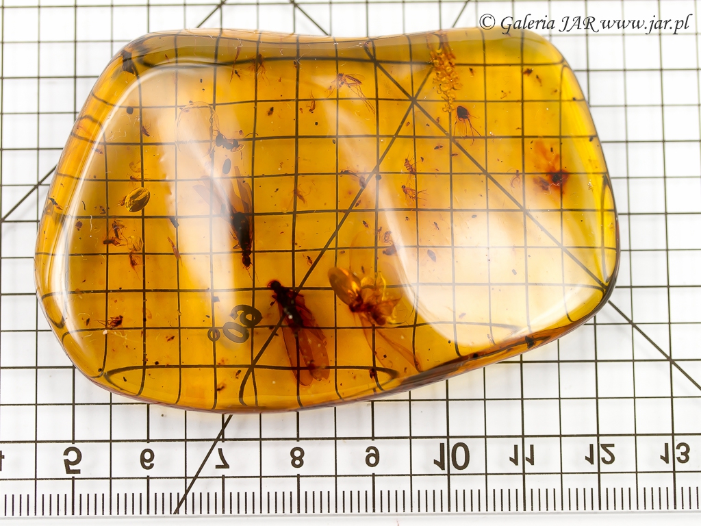 BURSZTYN AMBER INKLUZJE MIN114