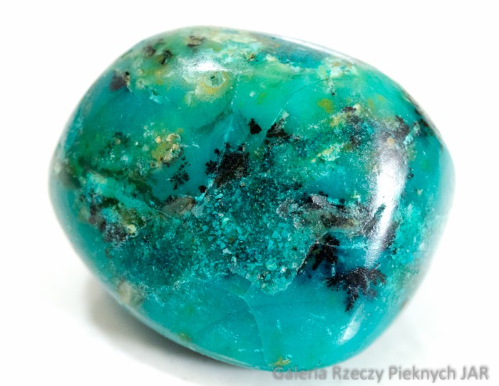 CHRYZOKOLA CHILE MCK2