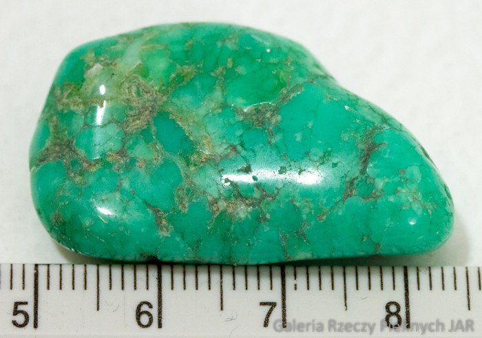 CHRYZOPRAZ PRAZER BRAZYLIA MCP6