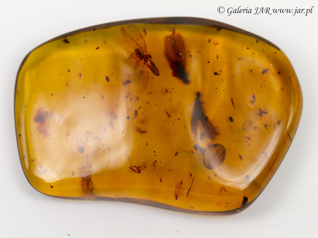 BURSZTYN AMBER INKLUZJE MIN114