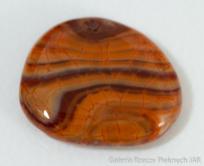 AGAT OGNISTY BRAZYLIA SNAKE SKIN MAG3