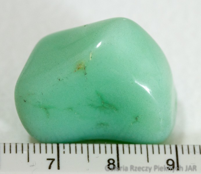 CHRYZOPRAZ PRAZER BRAZYLIA MCP4